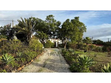 country-house-in-alora-3-large