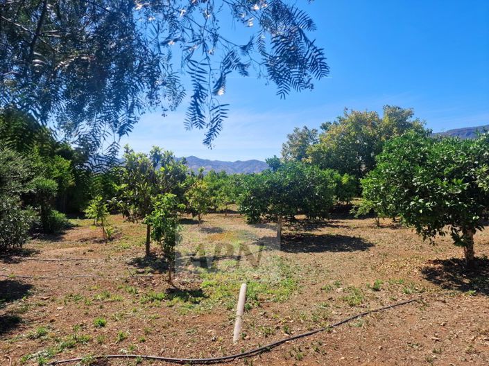 Image No.33-Maison de campagne de 6 chambres à vendre à Álora