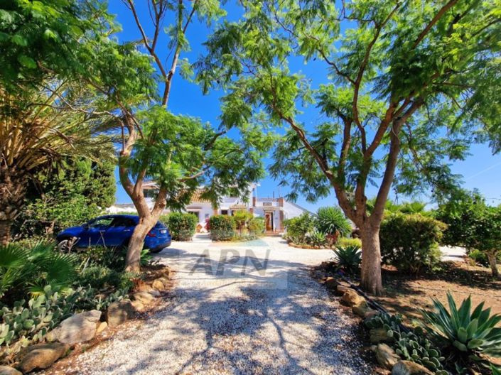 Image No.48-6 Bed Country House for sale