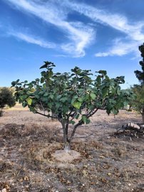 wkafxk73whtydopzwk5to