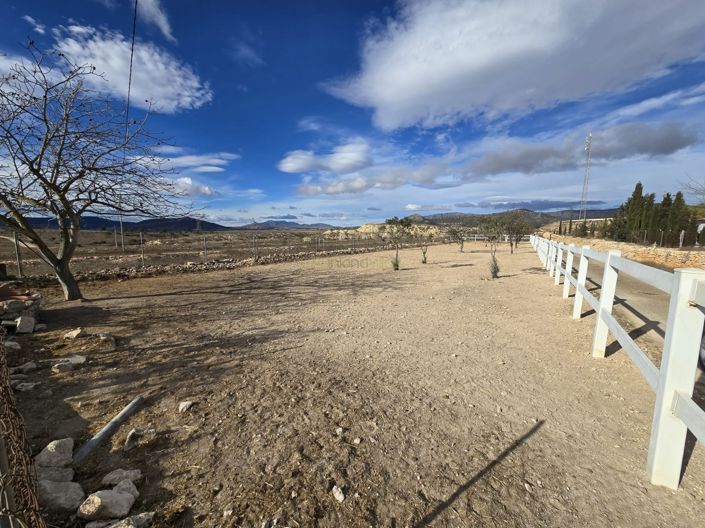 Image No.14-Finca de 2 chambres à vendre à Monóvar