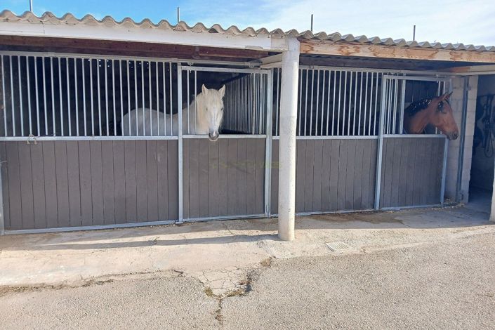 Image No.2-Finca de 2 chambres à vendre à Monóvar
