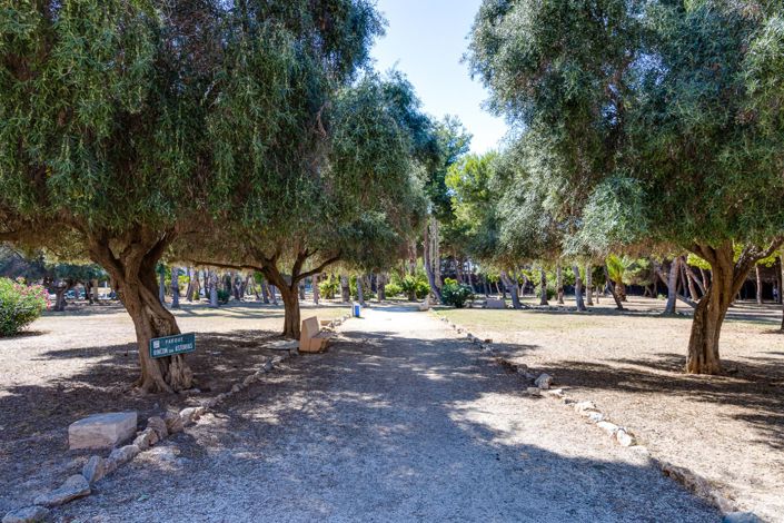 Image No.43-2 Bed Apartment for sale