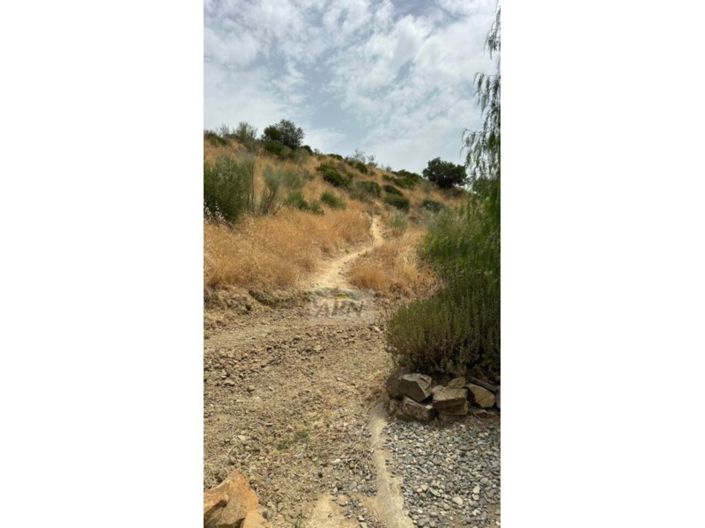 Image No.18-3 Bed Country House for sale