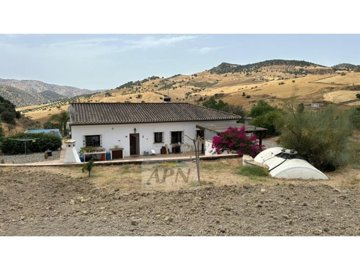 country-house-in-alora-4-large