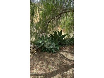 country-house-in-alora-5-large