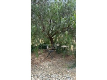 country-house-in-alora-6-large