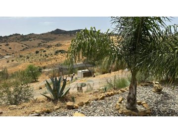 country-house-in-alora-8-large