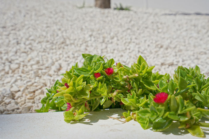 Image No.49-4 Bed Villa for sale