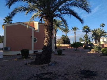 34583-for-sale-in-dolores-11891758-large