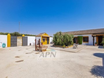 country-house-in-moron-de-la-frontera-3-large