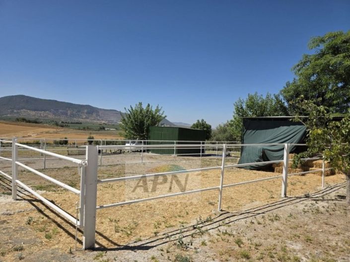 Image No.34-4 Bed Country House for sale