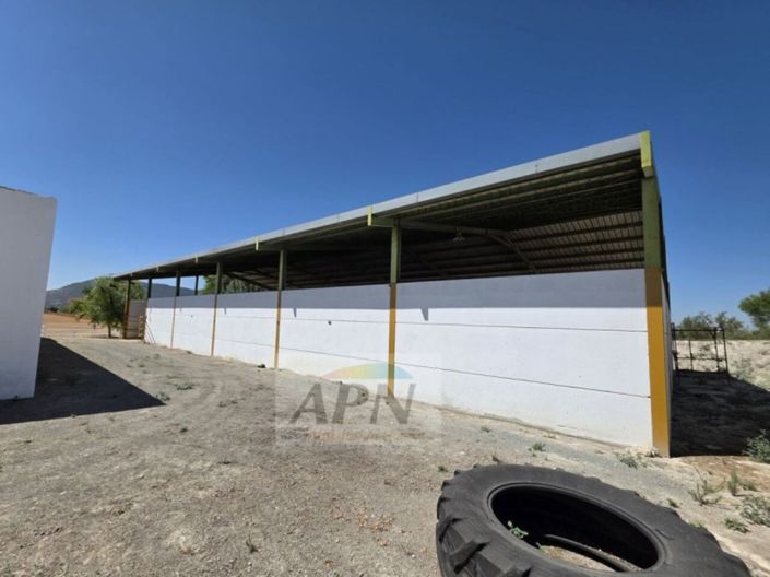 Image No.36-4 Bed Country House for sale