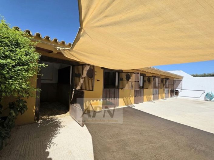 Image No.5-4 Bed Country House for sale