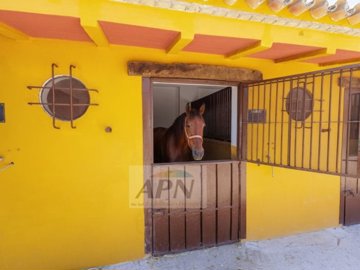 country-house-in-moron-de-la-frontera-7-large