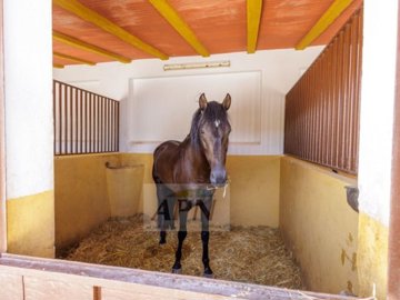 country-house-in-moron-de-la-frontera-8-large