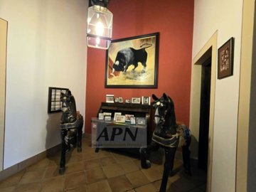 country-house-in-moron-de-la-frontera-9-large