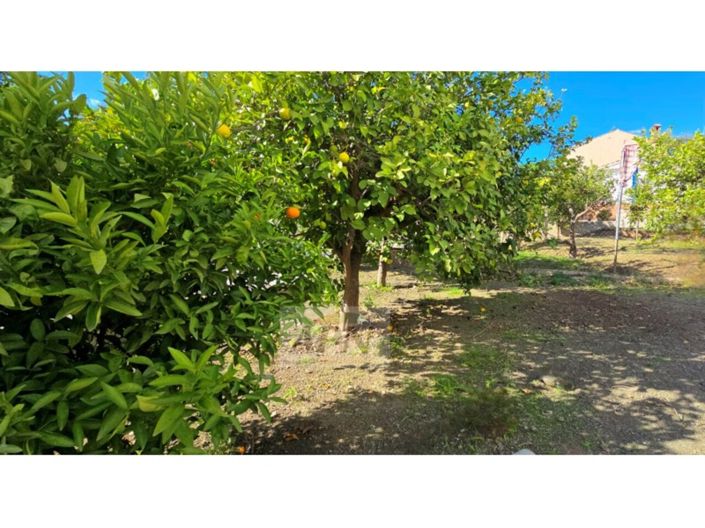 Image No.16-4 Bed Country House for sale