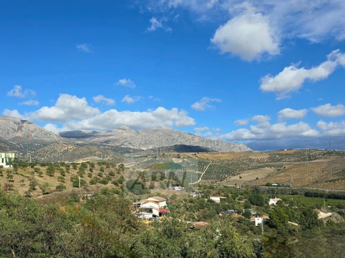 Image No.27-4 Bed Country House for sale