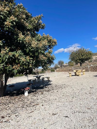 Image No.46-6 Bed Country House for sale