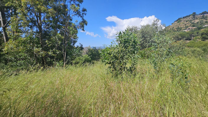 Image No.19-5 Bed Finca for sale