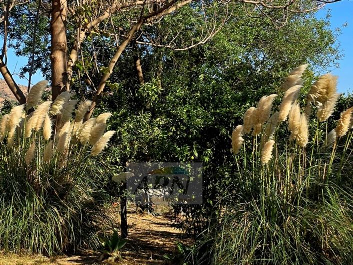 Image No.32-Maison de campagne de 3 chambres à vendre à Álora