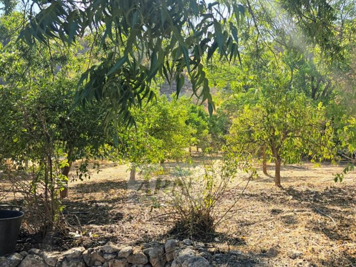 Image No.33-Maison de campagne de 3 chambres à vendre à Álora