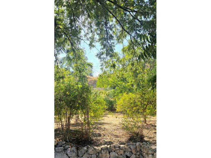 Image No.36-Maison de campagne de 3 chambres à vendre à Álora