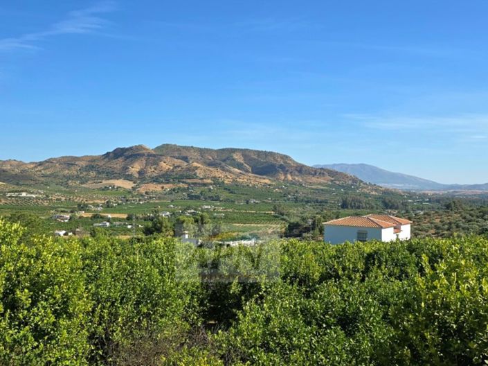 Image No.7-Maison de campagne de 3 chambres à vendre à Álora