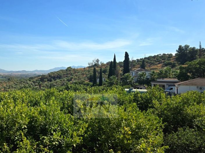 Image No.8-Maison de campagne de 3 chambres à vendre à Álora