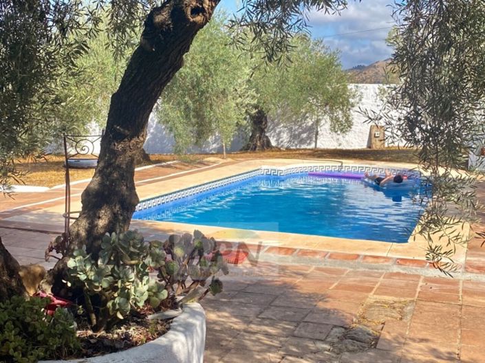 Image No.2-Maison de campagne de 4 chambres à vendre à Álora