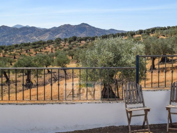 Image No.28-Maison de campagne de 4 chambres à vendre à Álora