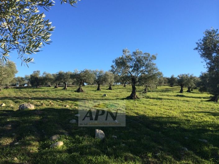 Image No.39-Maison de campagne de 4 chambres à vendre à Álora