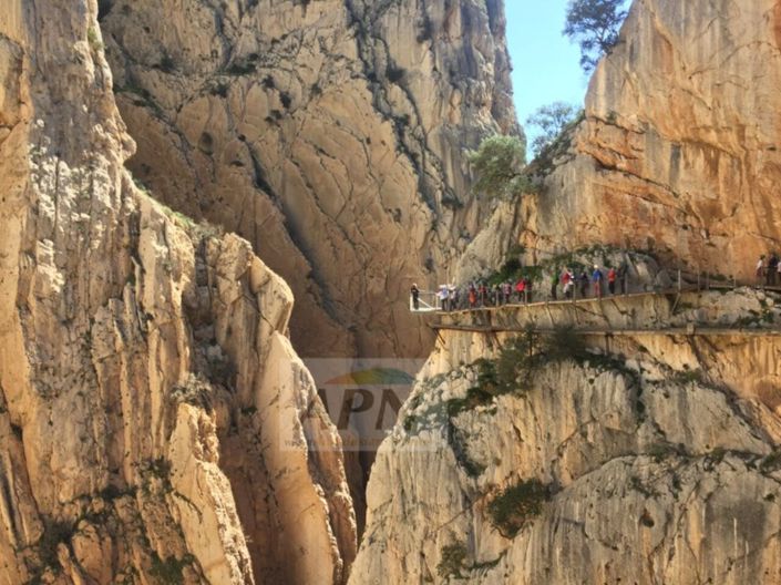 Image No.40-Maison de campagne de 4 chambres à vendre à Álora