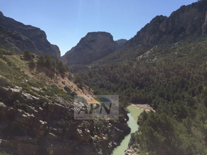 Image No.41-Maison de campagne de 4 chambres à vendre à Álora