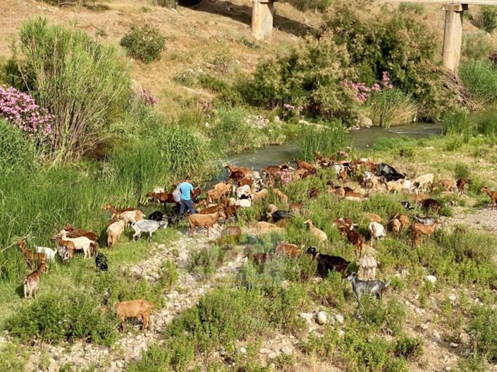 Image No.45-Maison de campagne de 4 chambres à vendre à Álora