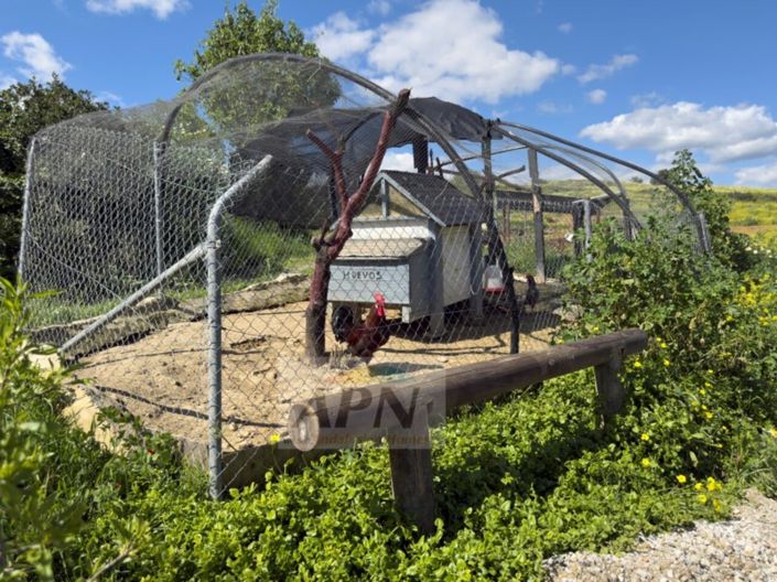 Image No.33-3 Bed Country House for sale