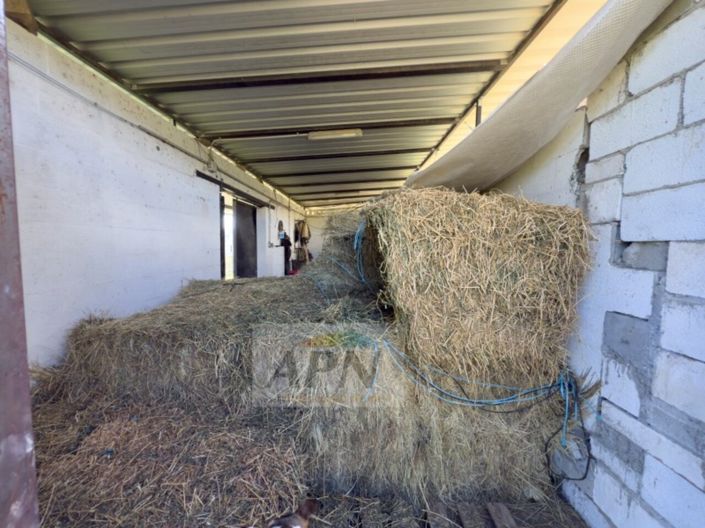 Image No.36-3 Bed Country House for sale