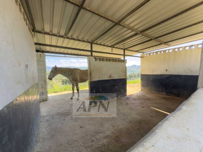 Image No.37-3 Bed Country House for sale