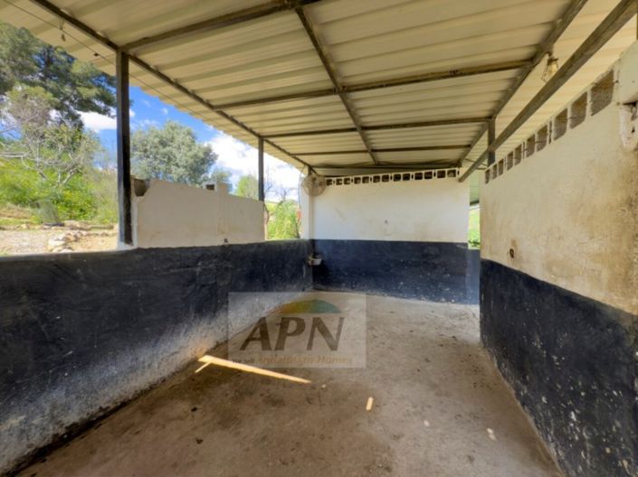 Image No.38-3 Bed Country House for sale