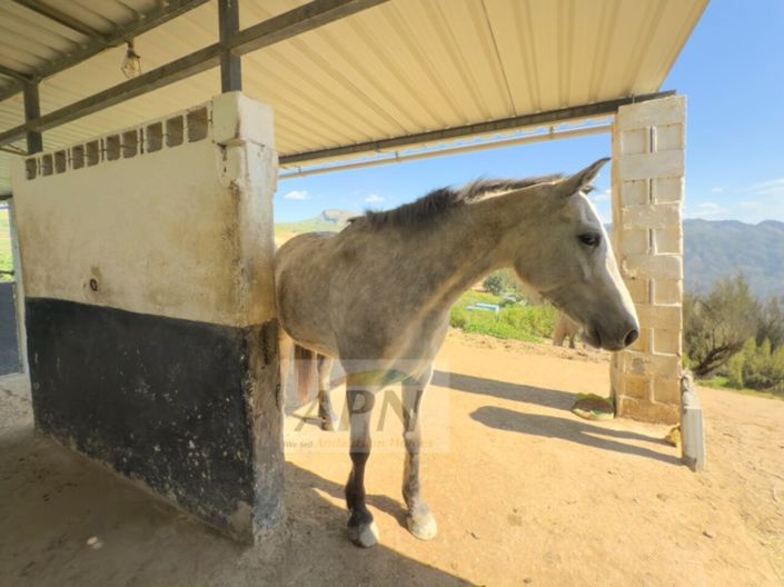 Image No.40-3 Bed Country House for sale