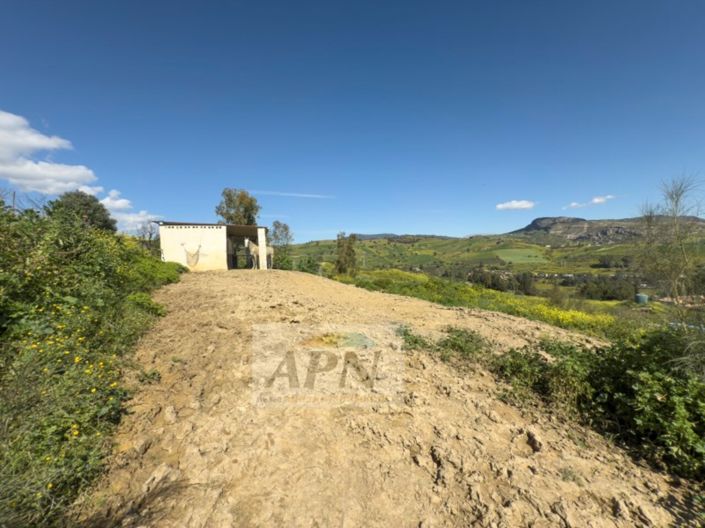 Image No.41-3 Bed Country House for sale