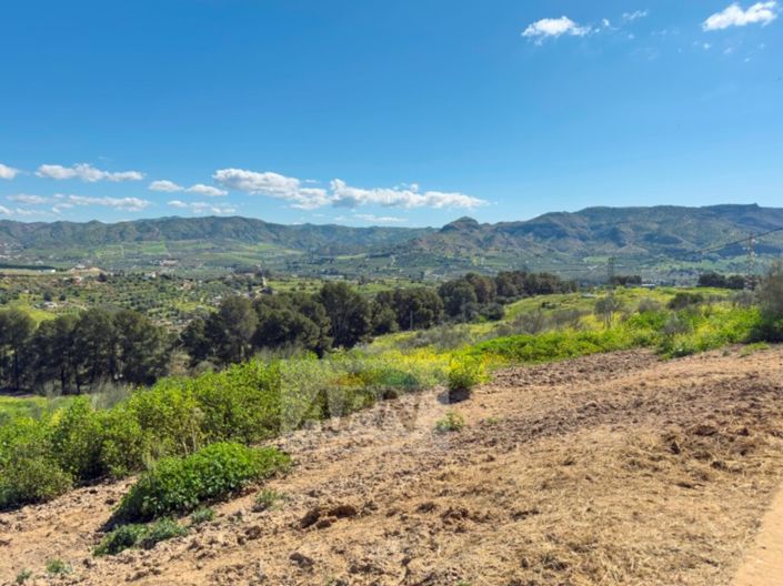 Image No.42-3 Bed Country House for sale