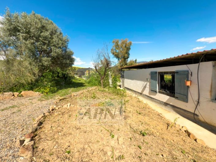 Image No.44-3 Bed Country House for sale