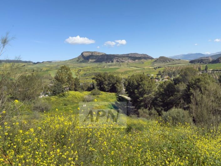 Image No.47-3 Bed Country House for sale