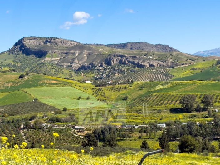 Image No.49-3 Bed Country House for sale