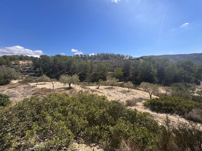 Image No.6-Country House for sale