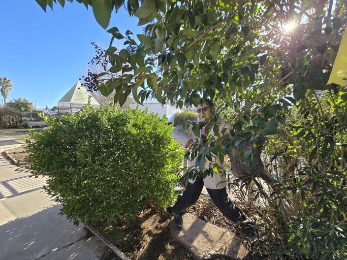 Image No.7-Villa de 7 chambres à vendre à Villena