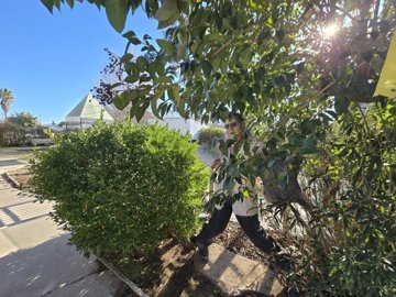 wwhatsapp-image-2026-01-15-at-124712-3-