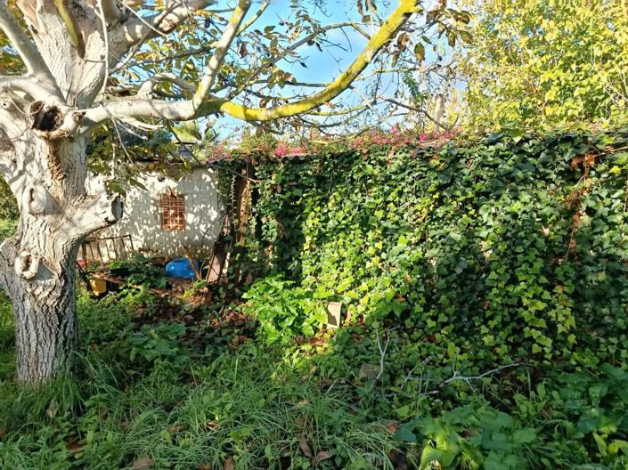 Image No.10-3 Bed Finca for sale